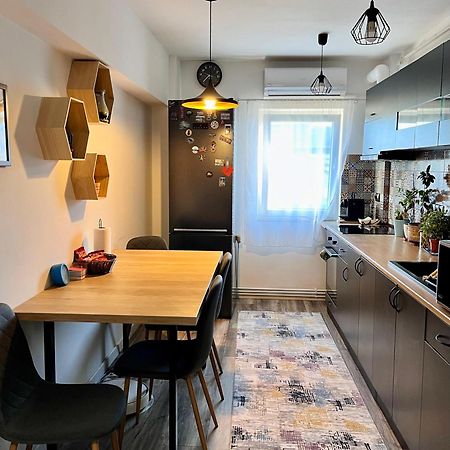 Comfortable Baia Mare Apartment Exterior foto